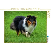 Calvendo Langhaar Collie tricolor Puzzle