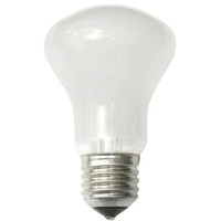 Elinchrom Einstelllicht 196V/100W E 27