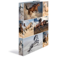 Herma Animals Pferde Ringbuch 2-Ringe Motiv