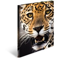 Herma Sammelmappe Tiere A4 leopard 