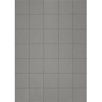 Magnetoplan Takkis auf Blisterkarte, 20 x 20 mm 60