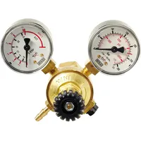 ELMAG Druckregler 'Argon/Co2' Serie MINI