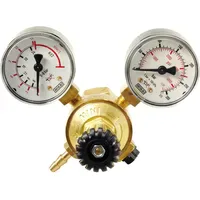 ELMAG Druckregler Argon/Co2 Serie 'MINI'