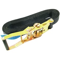 Omnitronic 60206789 Spanngurt 1St,