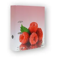 Stylex Motivordner DIN A4 / 8cm Rückenbreite / "Himbeeren"