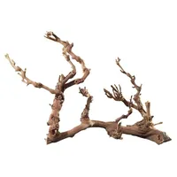 Hobby terraristik Hobby Weinreben Wurzel Jumbo ca. 50-70cm, 1St.