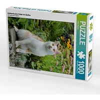 Calvendo Aufmerksame Katze im Garten (Puzzle)