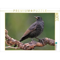 Calvendo Amsel Puzzle