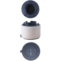 Mahle Luftfilter LX 4249