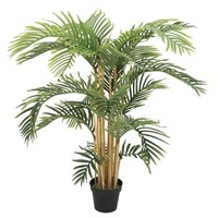 Europalms Kentiapalme, 140cm
