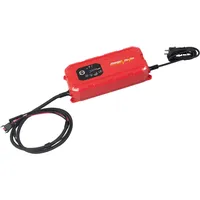 Kraftwerk Smart-Batterie-Ladegerät 12/24 V 25 A