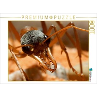 Calvendo Puzzle Exotische Ameisen 1000 Teile Lege-Größe 64 x