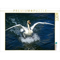 Calvendo Schwanen Surfen Puzzle