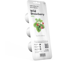 Emsa Click & Grow Wilde Erdbeere, 3er-Pack