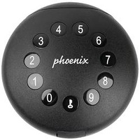 Phoenix Safe Phoenix Schlüsseltresor PALM KS0211E Anzahl Haken 1
