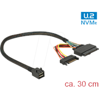 DeLock Internes SAS-Kabel (0.30 (M) Netzwerkkabel