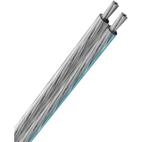 Oehlbach Silverline SP-25 Versilbertes Lautsprecherkabel 6m