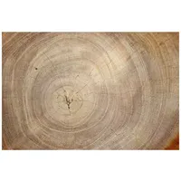 ALLboards Magnettafel 60,0 x 40,0 cm Baumstamm