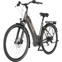 Fischer Cita 6.0i 2022 28 Zoll RH 44 cm