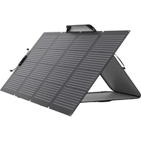 EcoFlow 220W
