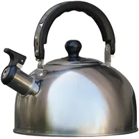 Provance Wasserkessel 2 l Silber