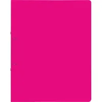 Brunnen Ringbuch FACT!pp pink