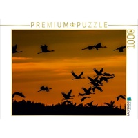 Calvendo Kraniche an der Ostsee Puzzle
