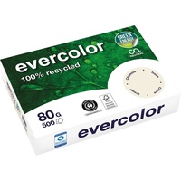 Clairefontaine Recyclingpapier Evercolor hellblau A4 80 g/qm 500 Blatt