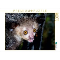 Calvendo Fingertier (Aye-Aye) Puzzle