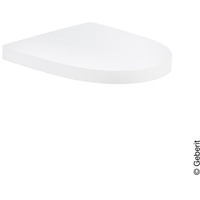 Geberit AquaClean Mera WC-Deckel 243211111