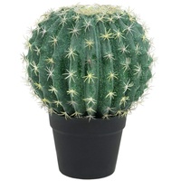 Europalms Kugelkaktus, 34cm