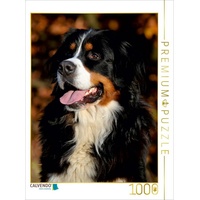 Calvendo Puzzle