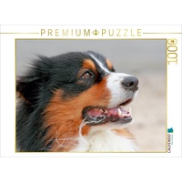 Calvendo Puzzle Australian Shepherd 1000 Teile Foto-Puzzle Bild von