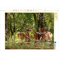 Calvendo Damhirsche Puzzle