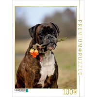 Calvendo Boxer mit Blumen 1000 Teile