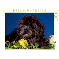 Calvendo Puzzle Bolonka Welpenstube Foto-Puzzle Bild von weh-zet