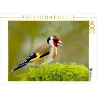 Calvendo Stieglitz Puzzle