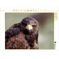 Calvendo Wüstenbussard Puzzle