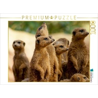 Calvendo Puzzle Die Welt der Erdmännchen. 1000 Teile Lege-Größe