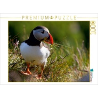 Calvendo Papageientaucher Puzzle