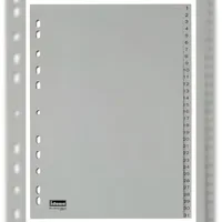 IDENA Register 1-31 A4 Grau 31 St.