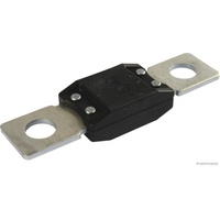 Herth+Buss ELPARTS Sicherung 50295842