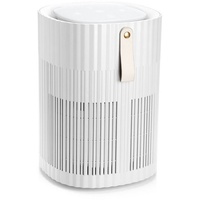 AirExchange 150-T Luftreiniger (HEPA H13 Filter, bis 40m2, 99,99%