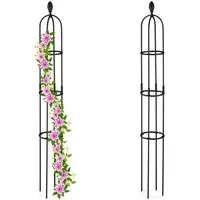 Relaxdays Rankhilfe Obelisk, 2er Set, 160x20 cm, Ranksäule für