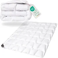 Sei Design Premium Winter Bettdecke Mikrofaser Decke SWAN 200x220