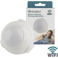 Fontastic Smart Home WiFi Bewegungsmelder
