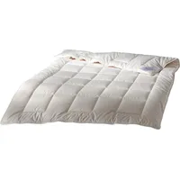 Traumschlaf Baumwolle Sommerdecke leicht, Füllung: 100% Baumwolle cm