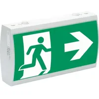 Ceag Notlichtsysteme LED-Rettungszeichenleuchte 0,00 m RAL7035