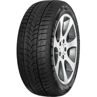 MINERVA S310 225/60 R18 104V