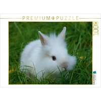 Calvendo Puzzle Weißes Zwergkaninchen Baby 1000 Teile Lege-Größe 64